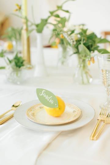 Simple Elegance: Luxury Thick Satin Napkins